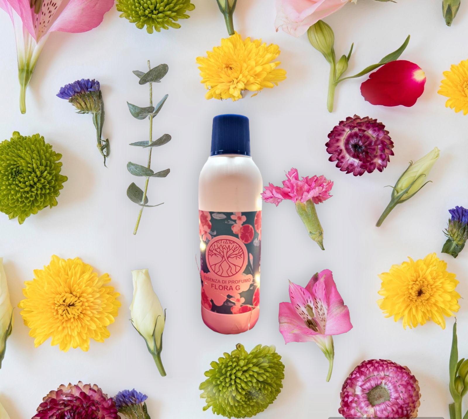 Parfum na pranie FLORA G  500ml Vôňa SLADKO - KORENISTA